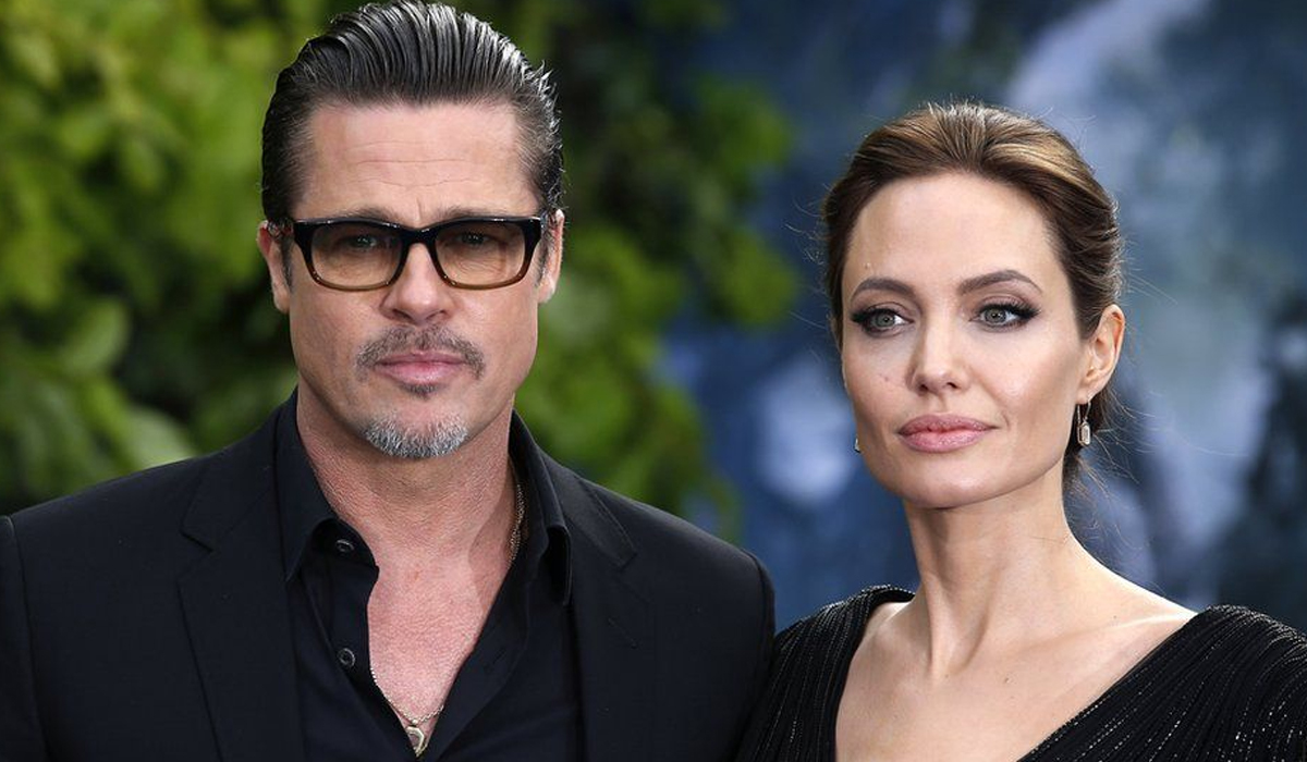 Brad Pitt says Angelina Jolie 'sought to inflict harm' with vineyard sale